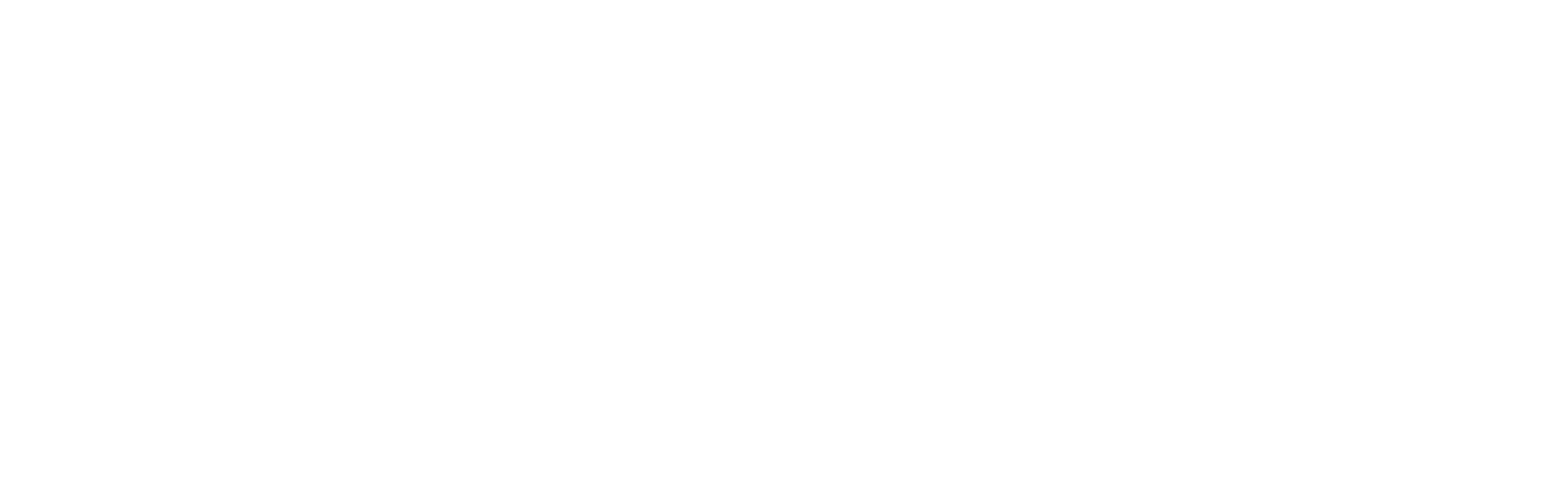 STEAM Academy