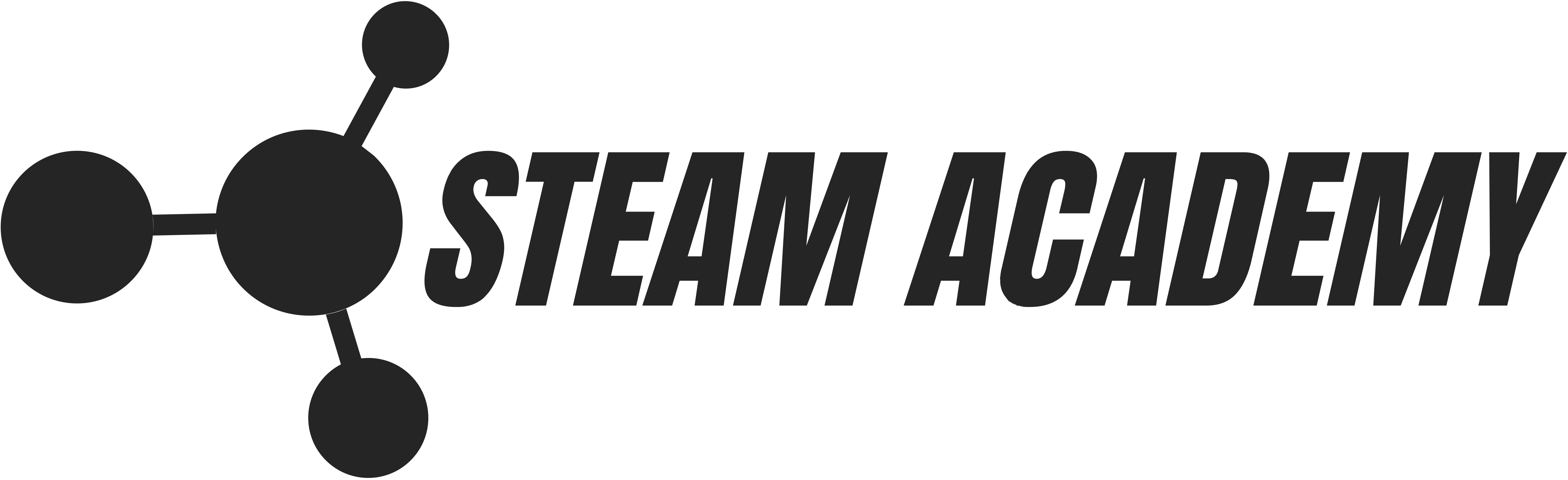 STEAM Academy